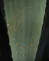 Collier Supernova